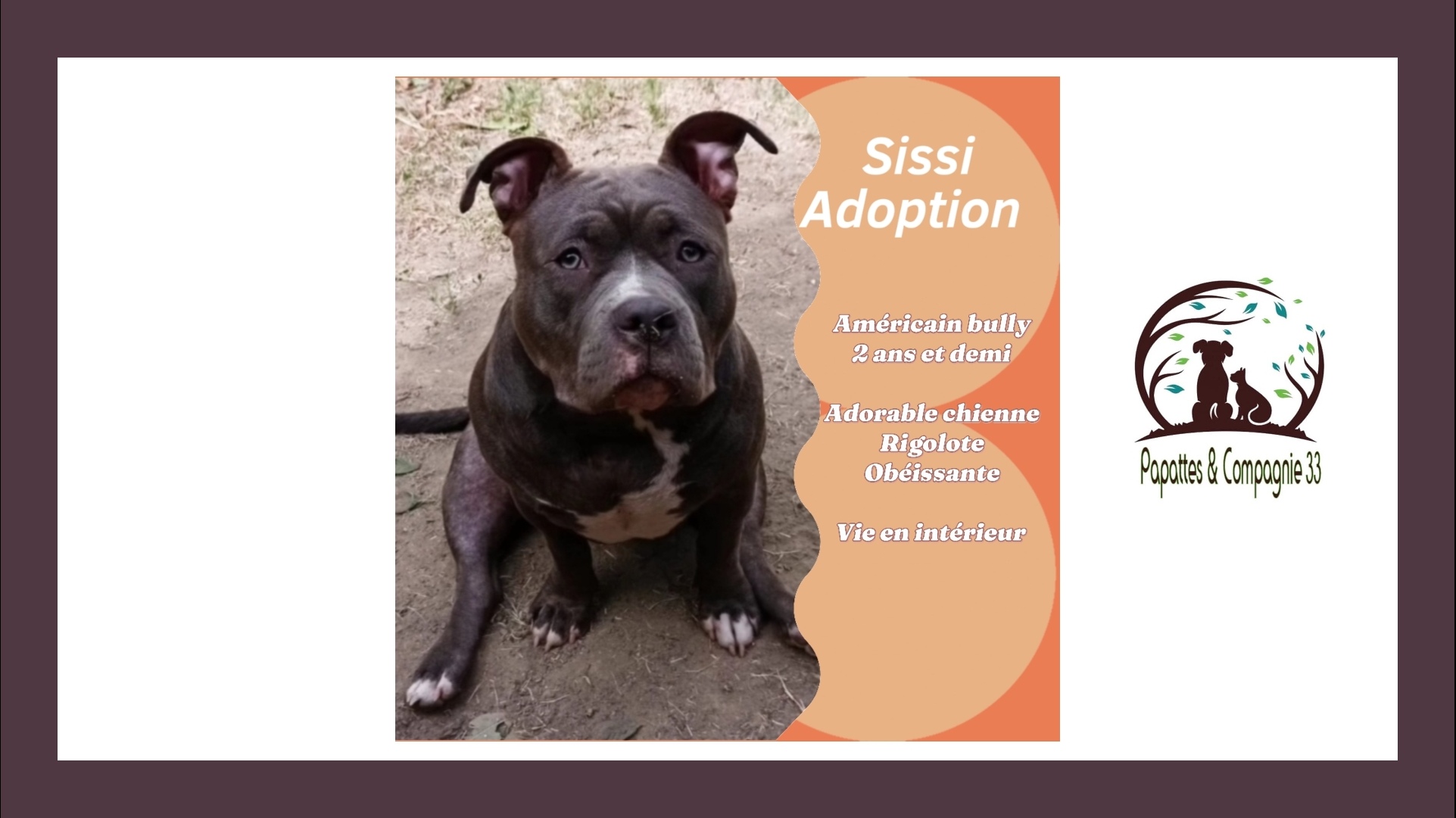 Association Papattes et compagnie 33