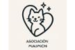 MiauMichi Gastos Veterinarios