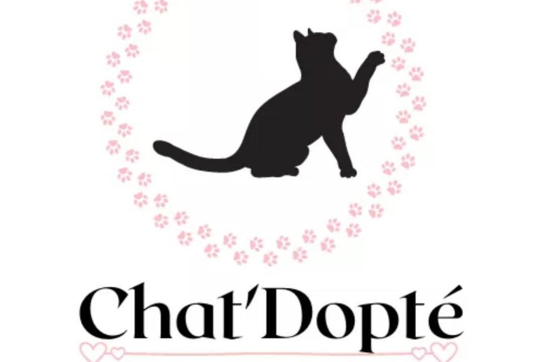 Chat'dopté