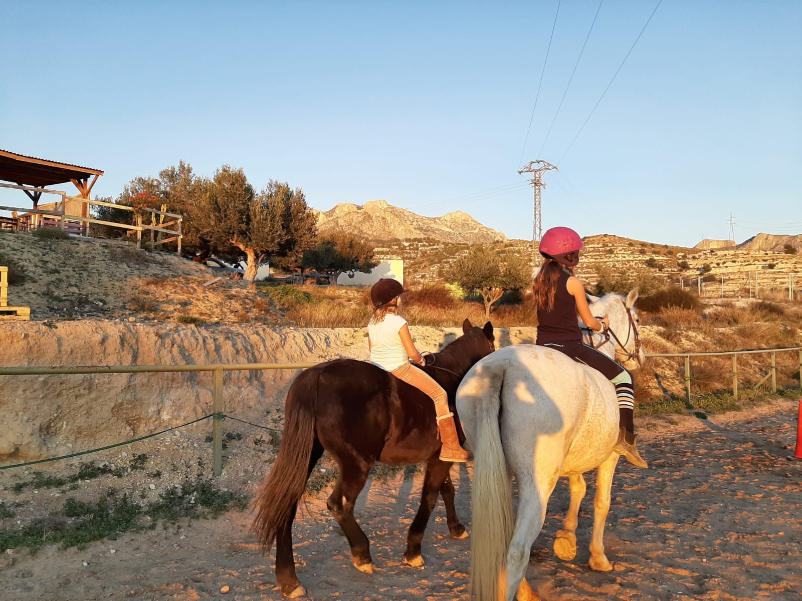 Asociación EQUITACC