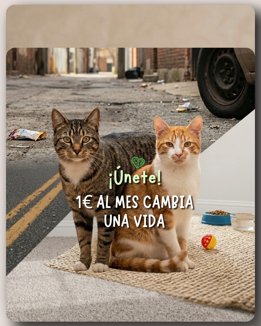Asociación Bremen, porque sus vidas importan.