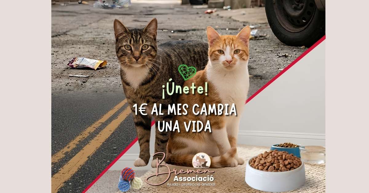 Because Their Lives Matter - Association Bremen