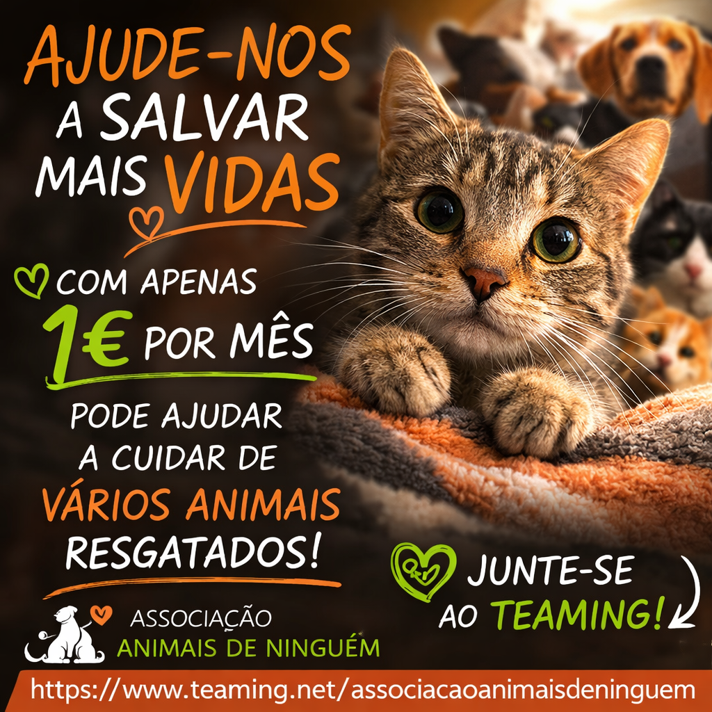 Associação Animais de Ninguém