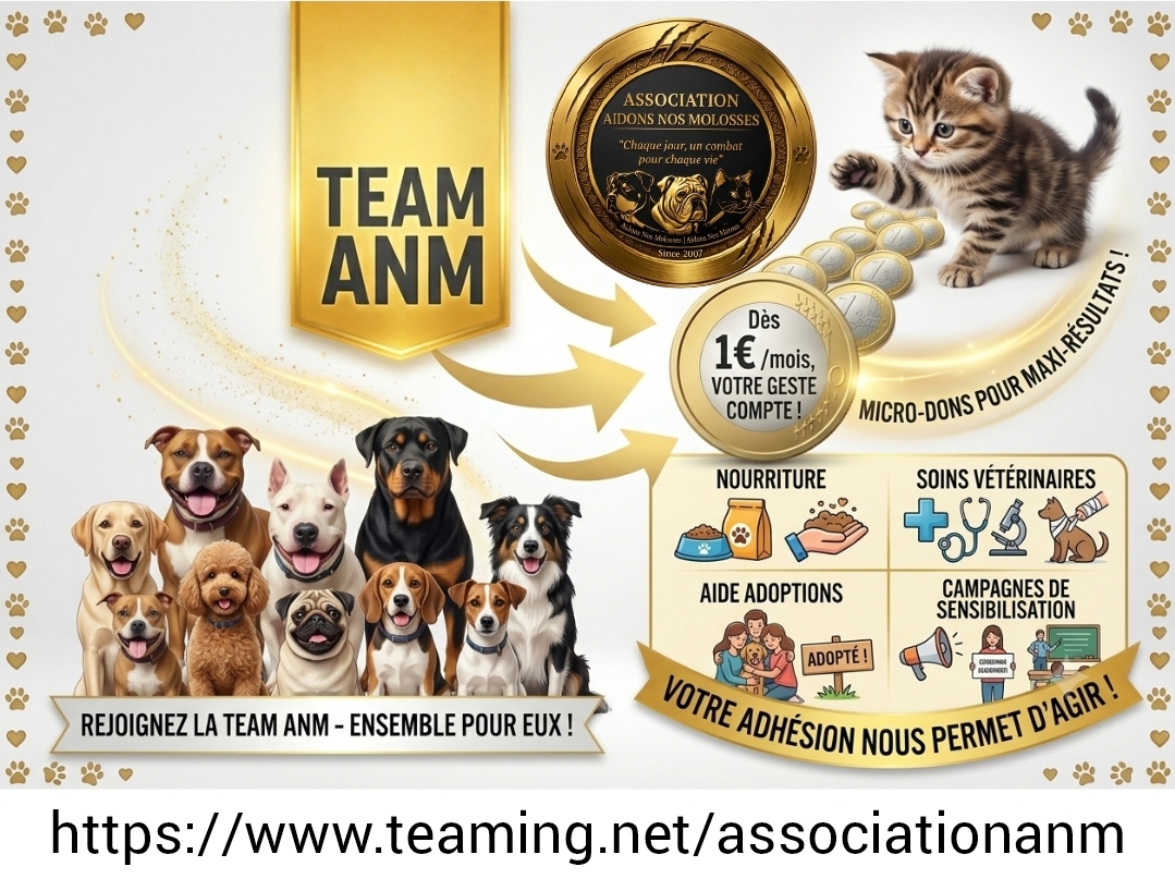 Association ANM