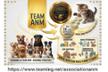 Association ANM