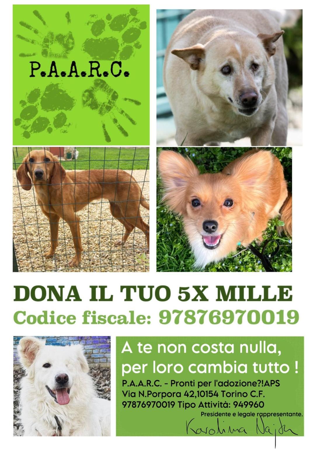 Gli amici del PAARC, Pronti per l'adozione?!