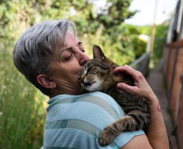 PAQUI'S CATS - Colony of cats from the subway garages