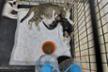 Adopta no compres Valencia