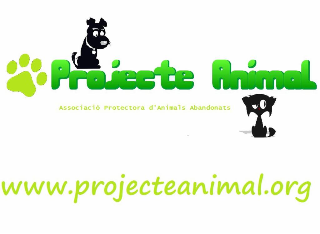 Asociación Projecte Animal