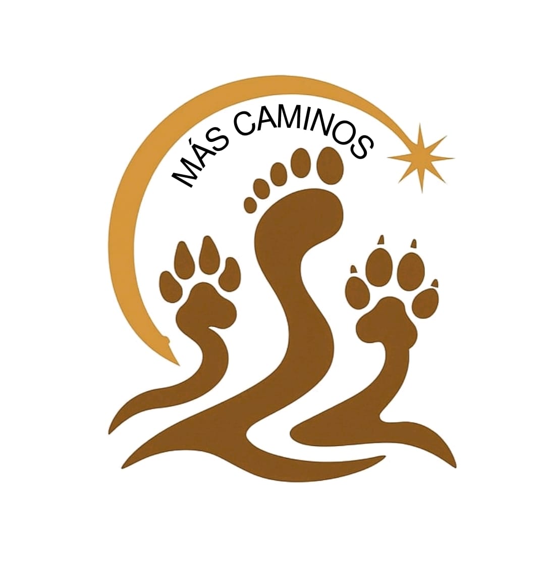 Mas Caminos