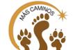 Mas Caminos