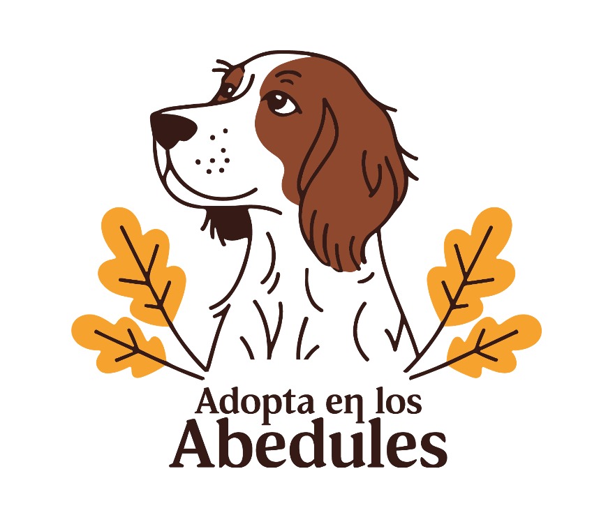 Adopted in the Birches