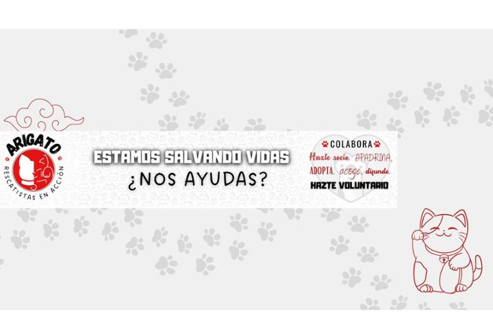 ARIGATO Rescatistas en Acción