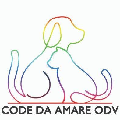 CODE DA AMARE ODV