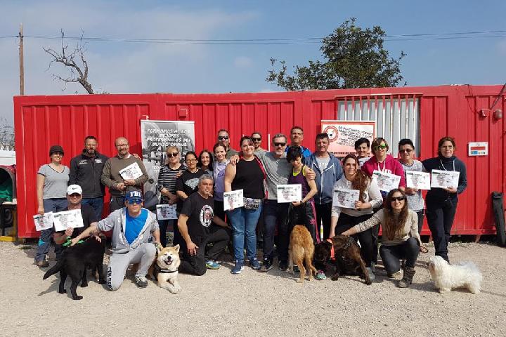 PERROS TERAPÉUTICOS ALERTA MEDICA