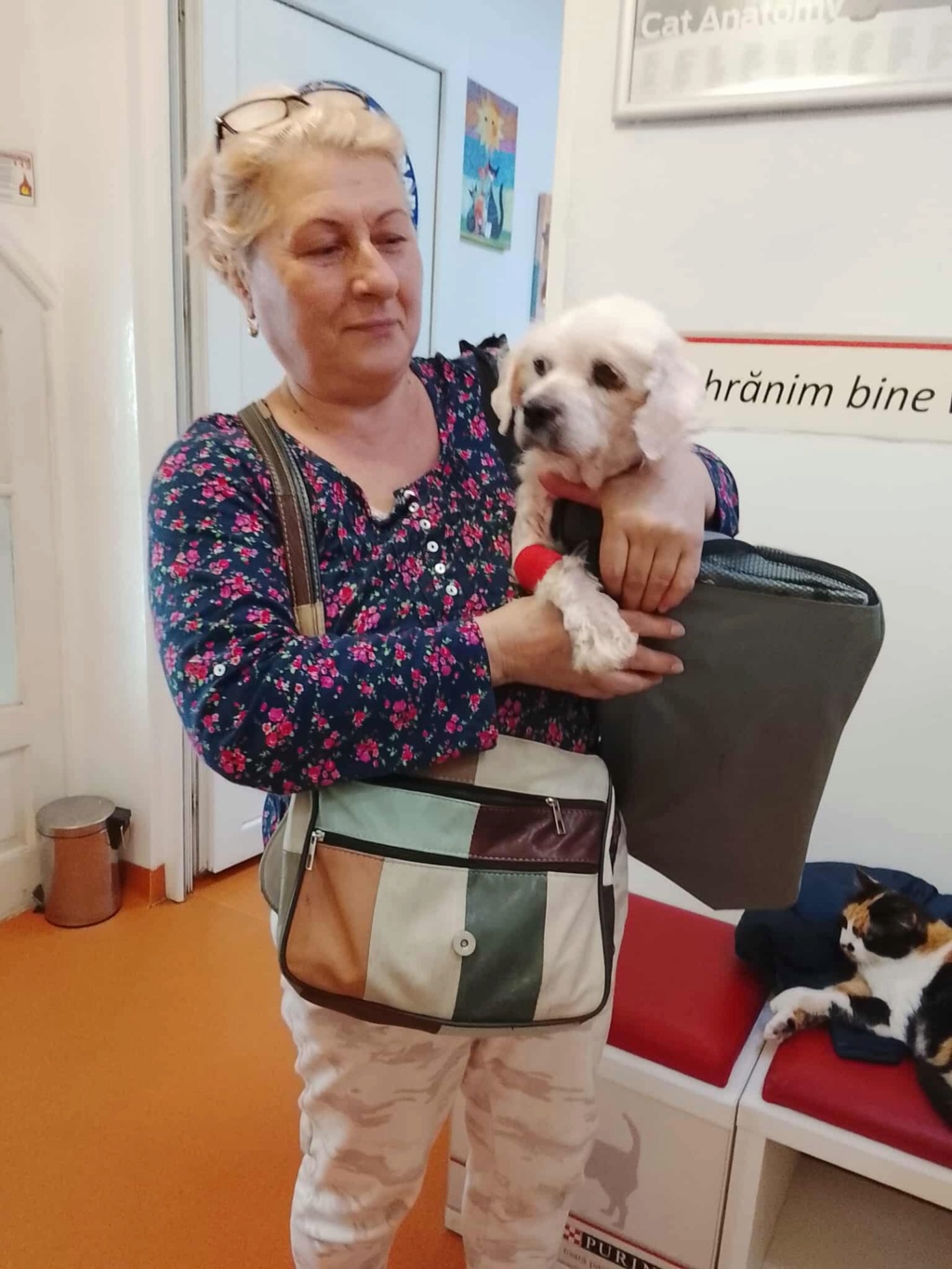 Association L'Arche d'Eternité