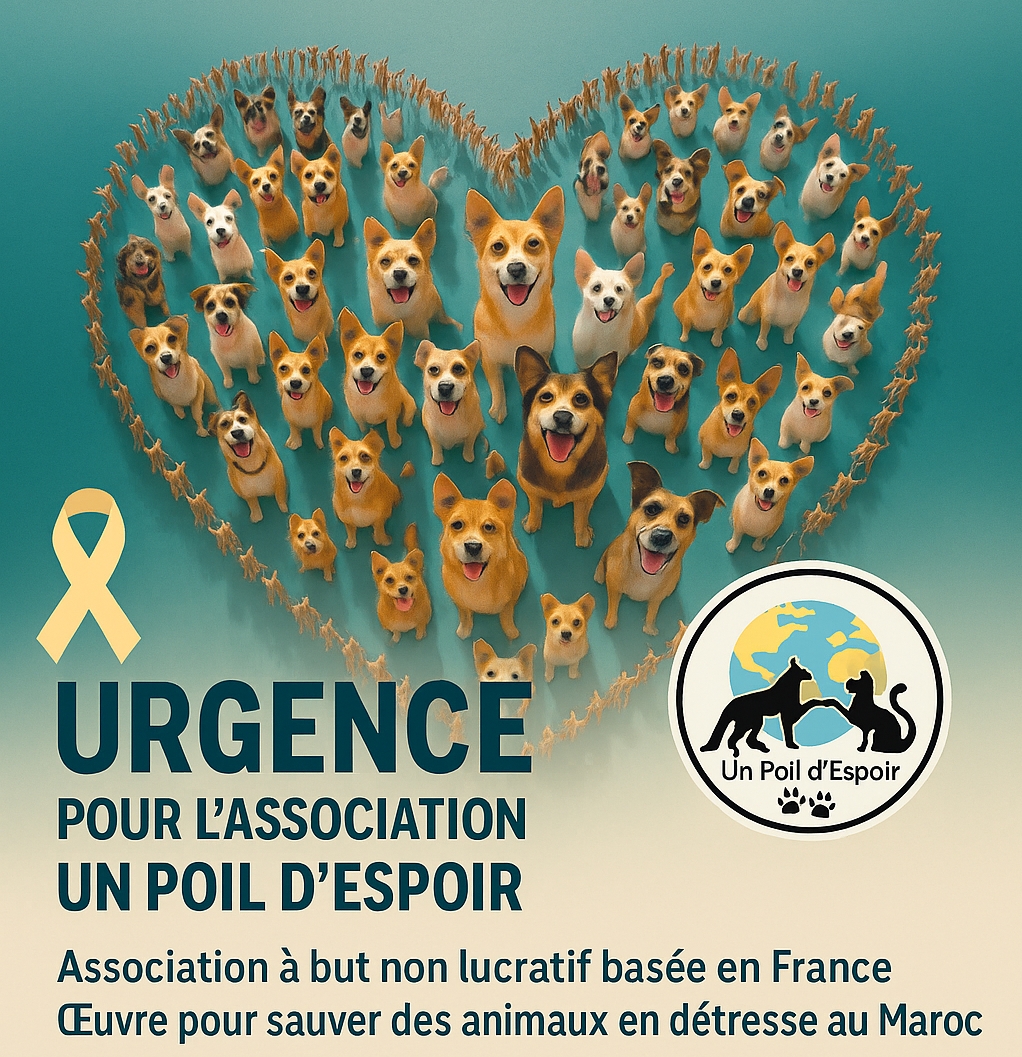 UN POIL D'ESPOIR