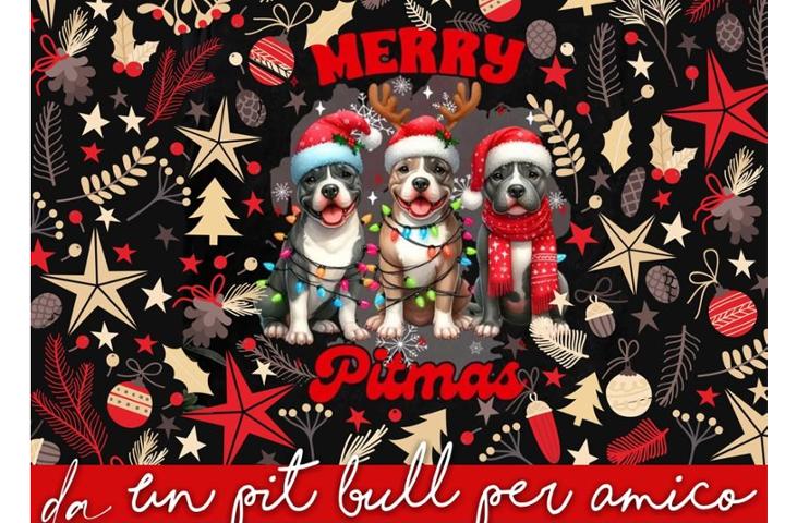 Un Pit Bull Per Amico Rescue