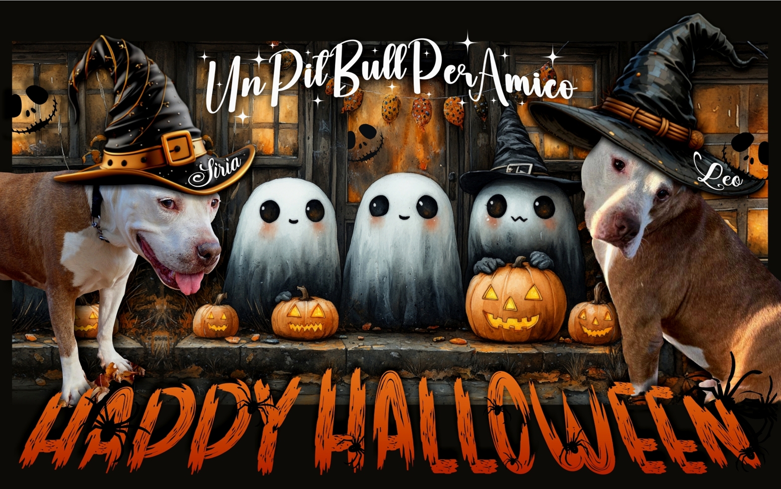 Un Pit Bull Per Amico Rescue