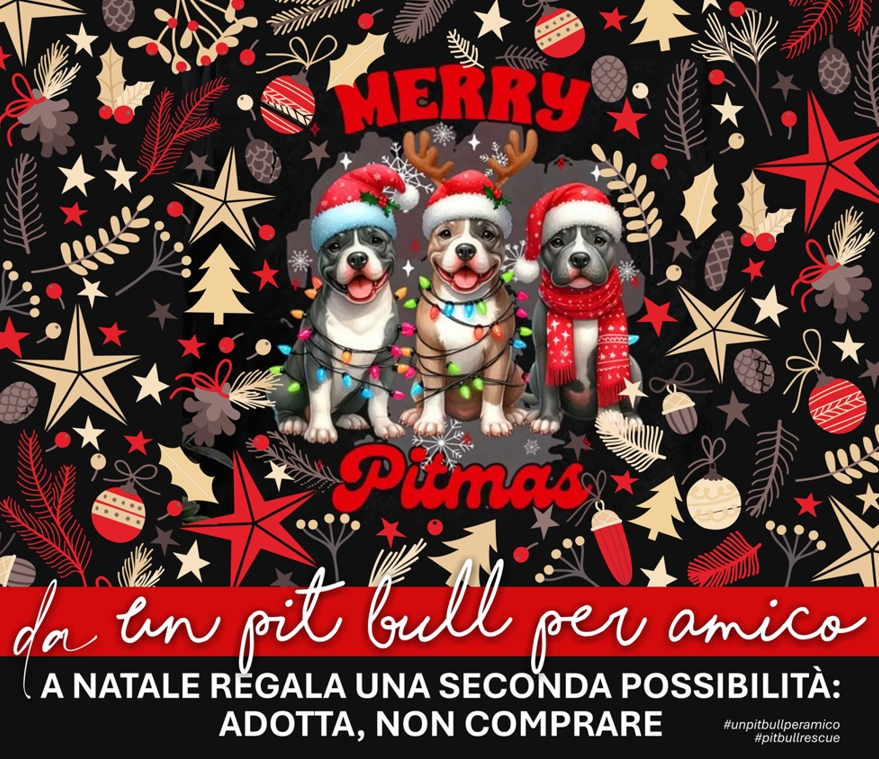 Un Pit Bull Per Amico Rescue
