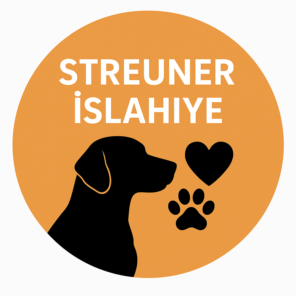 Hilfe für die Strassenhunde İslahiye