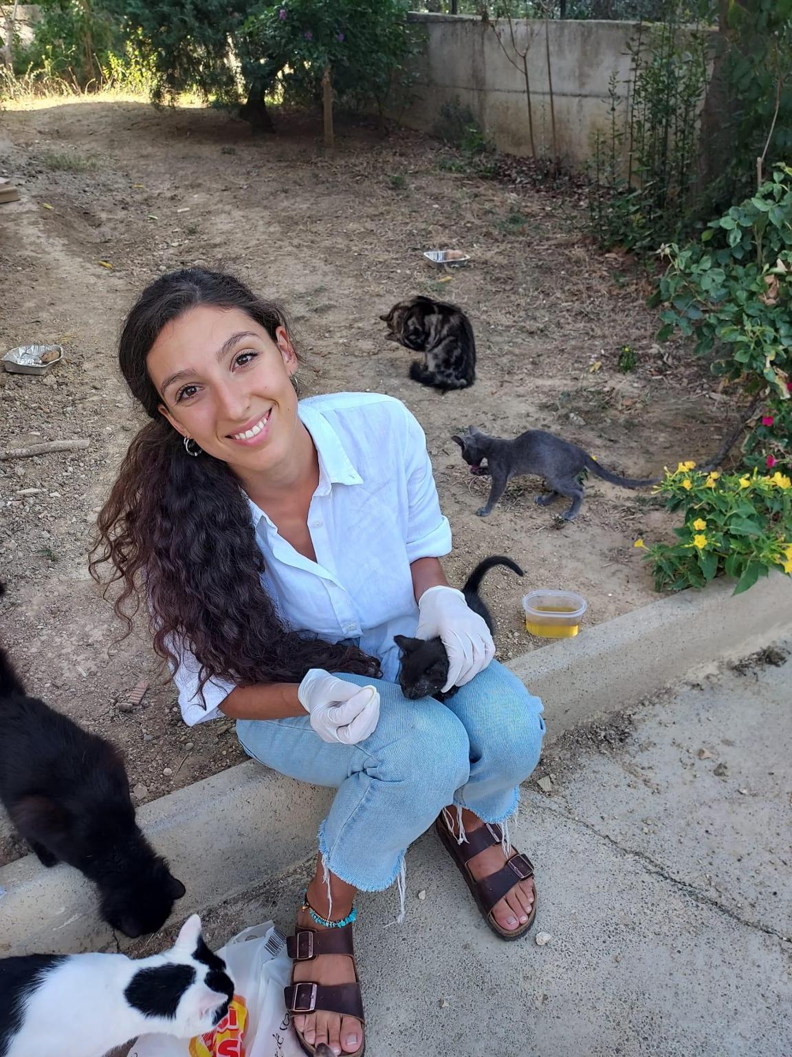 HELP US HELP ABANDONED CATS AND DOGS