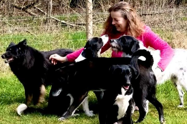 ASAVE Association Sauvetages des animaux, Vegetalisme et Environment 
