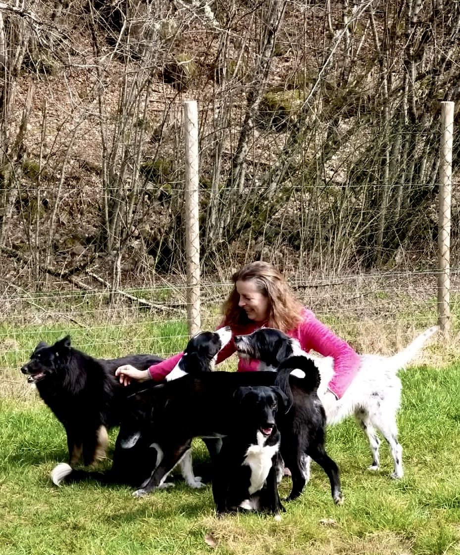 ASAVE Association Sauvetages des animaux, Vegetalisme et Environment 
