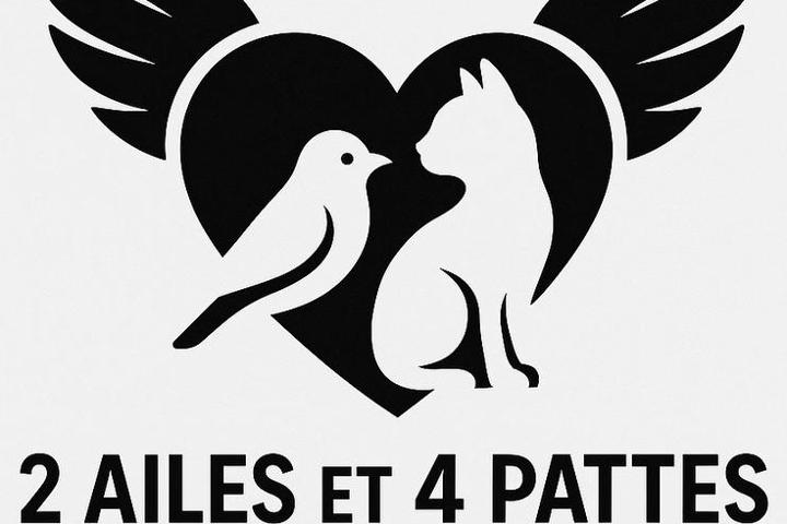 2aileset4pattes