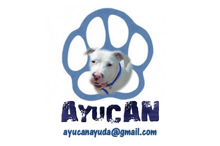 AYUCAN Asociación Contra el Abandono Animal