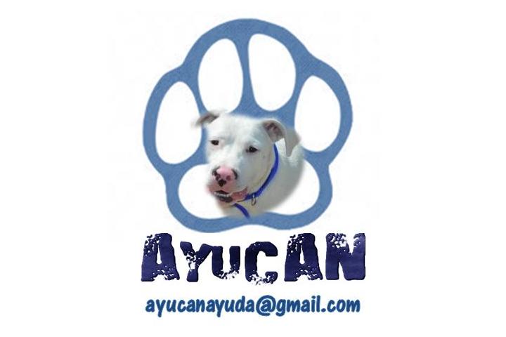 AYUCAN Asociación Contra el Abandono Animal