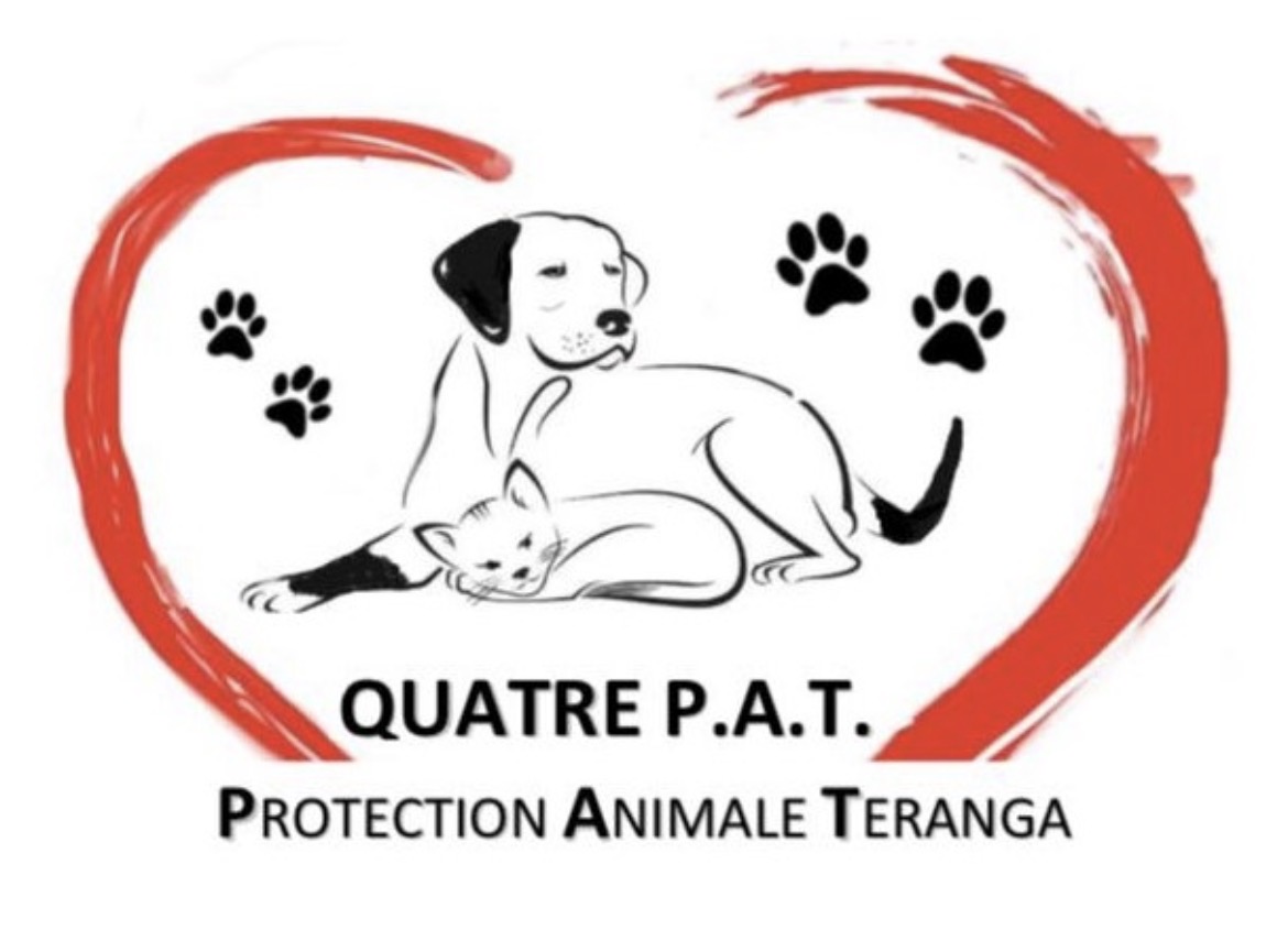 QUATRE PAT Protection Animale Teranga