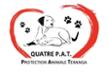 QUATRE PAT Protection Animale Teranga