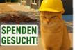 Neubau Paradies für HandiCATs Katzenhoffnung Steiermark