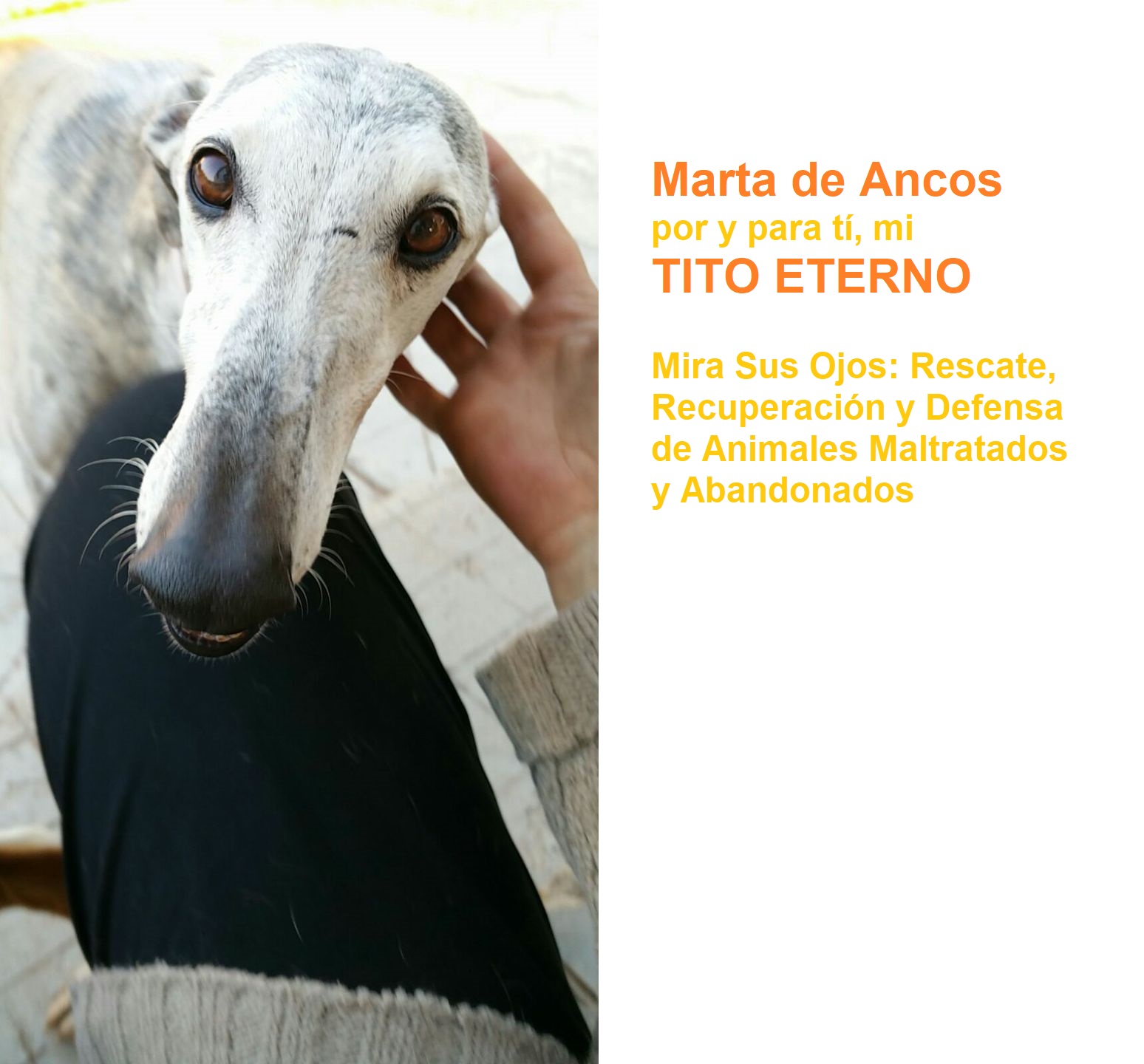 Ayuda Animales Rescatados Marta de Ancos