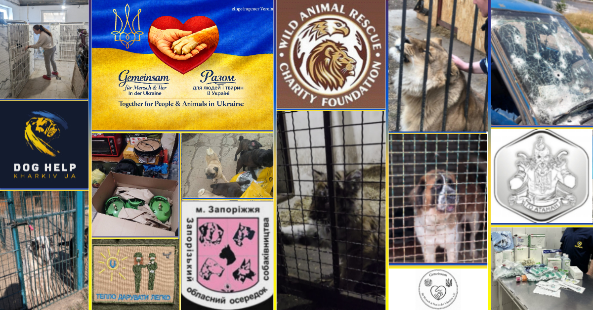 Together for People & Animals in Ukraine (Association)