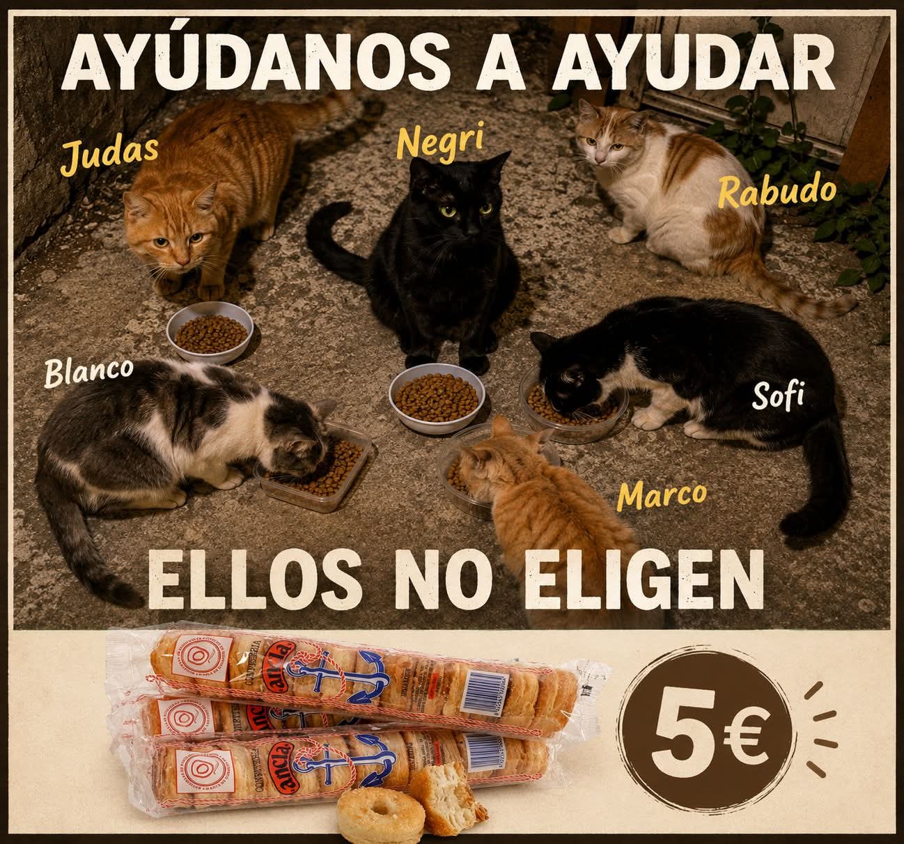 GATIÑOS OLVIDADOS
