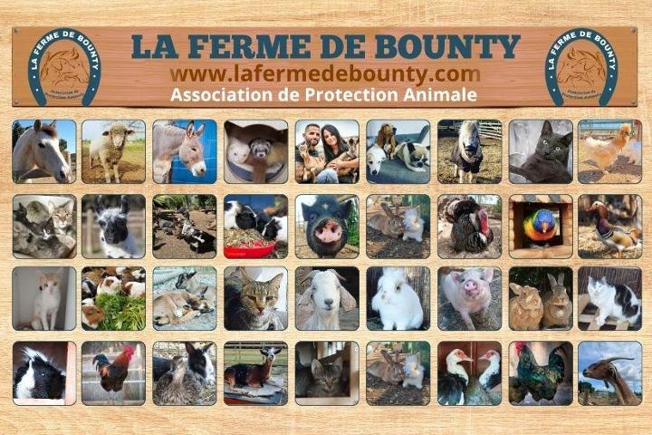 Association La Ferme de Bounty
