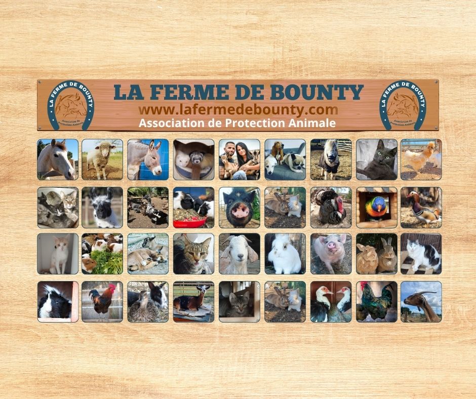Association La Ferme de Bounty