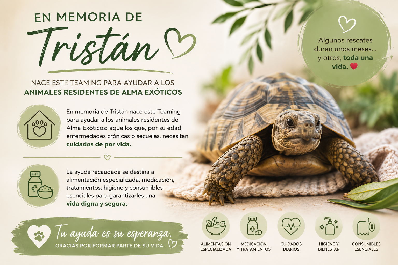 En memoria de Tristán/Residentes y deudas vet