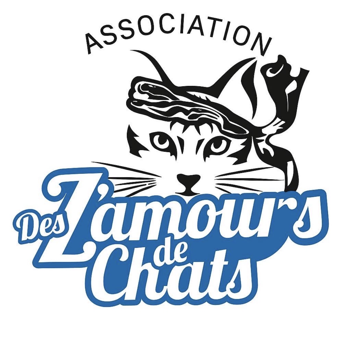 Des Z’amours de chats