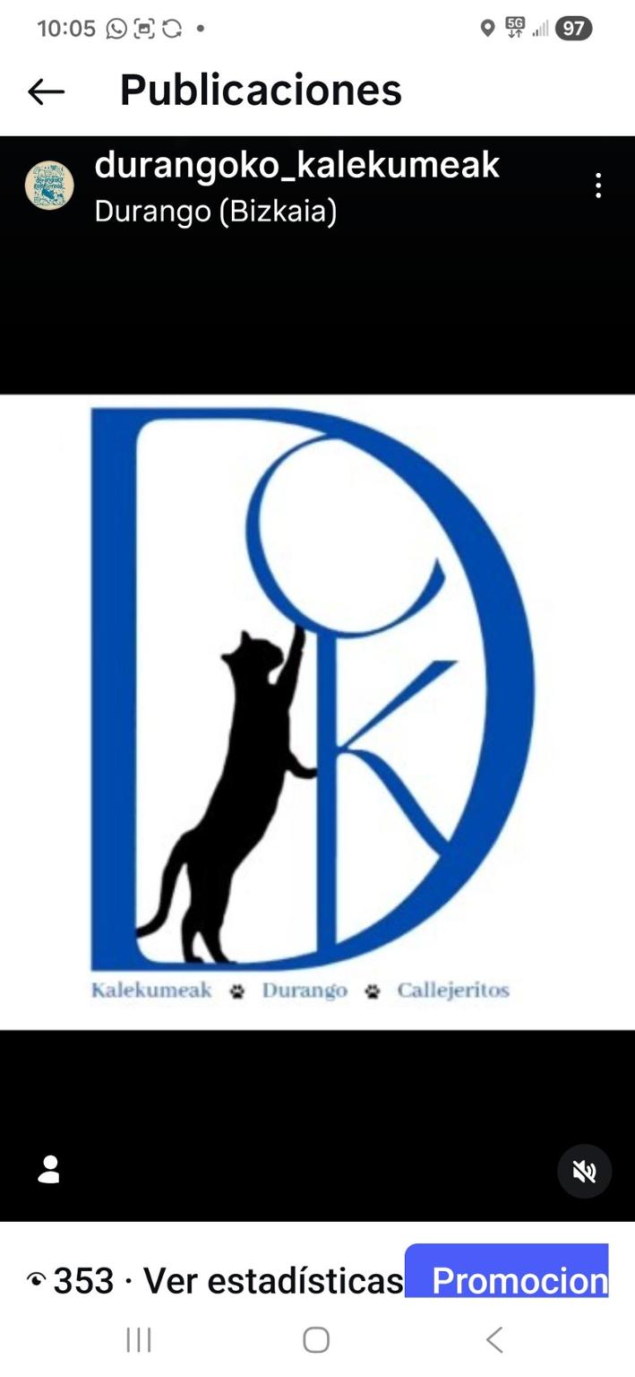 Callejeritos de Durango/Durangoko Kalekumeak