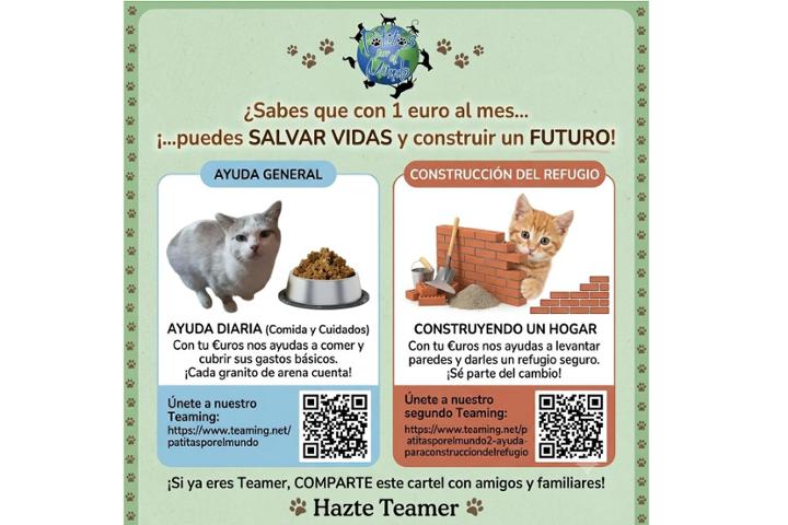 Patitas Por El Mundo