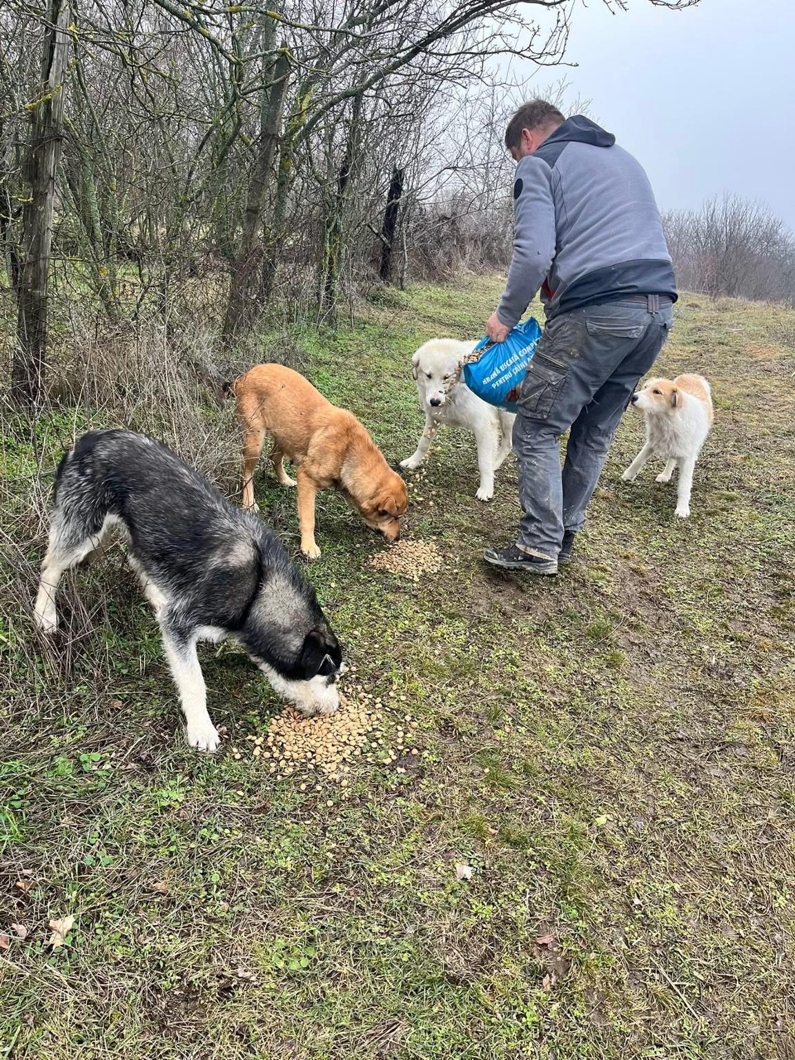HAPPY TAILS ANIMAL RESCUE
