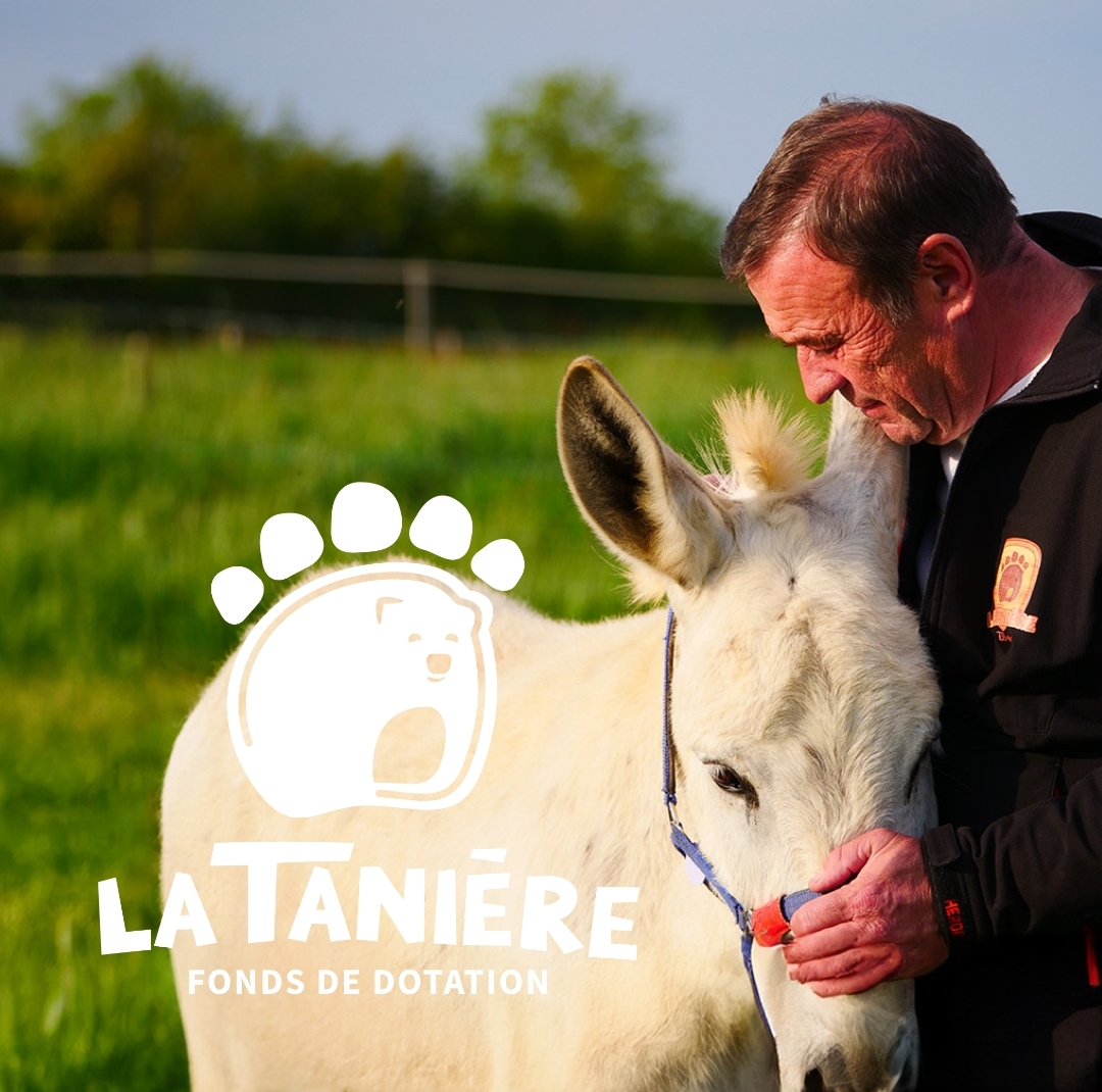 La tanière