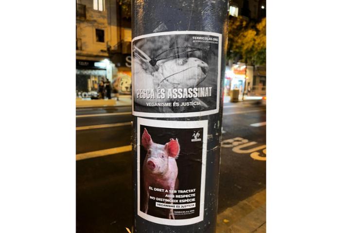 Terricolas Activismo