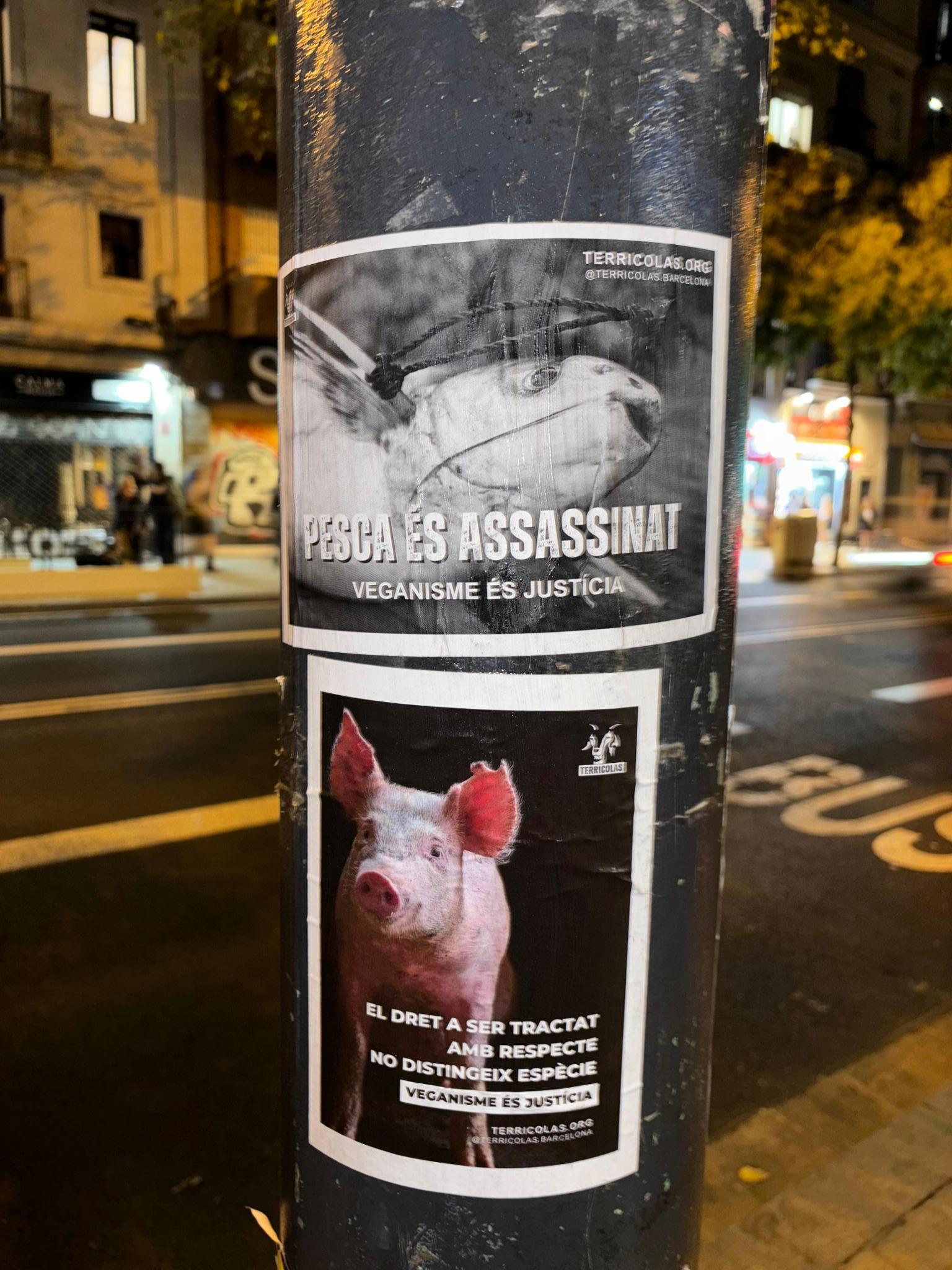 Terricolas Activismo