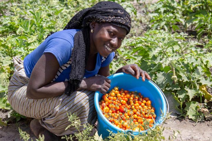 Nutrir la infancia en Senegal gracias a las madres agricultoras