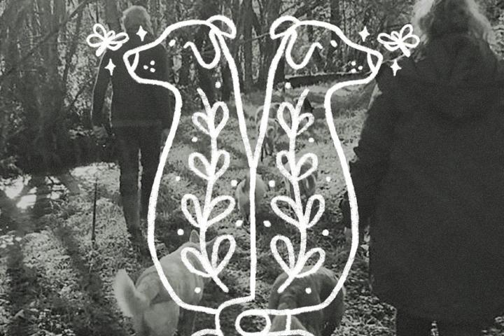 La Manada del Bosque Secreto