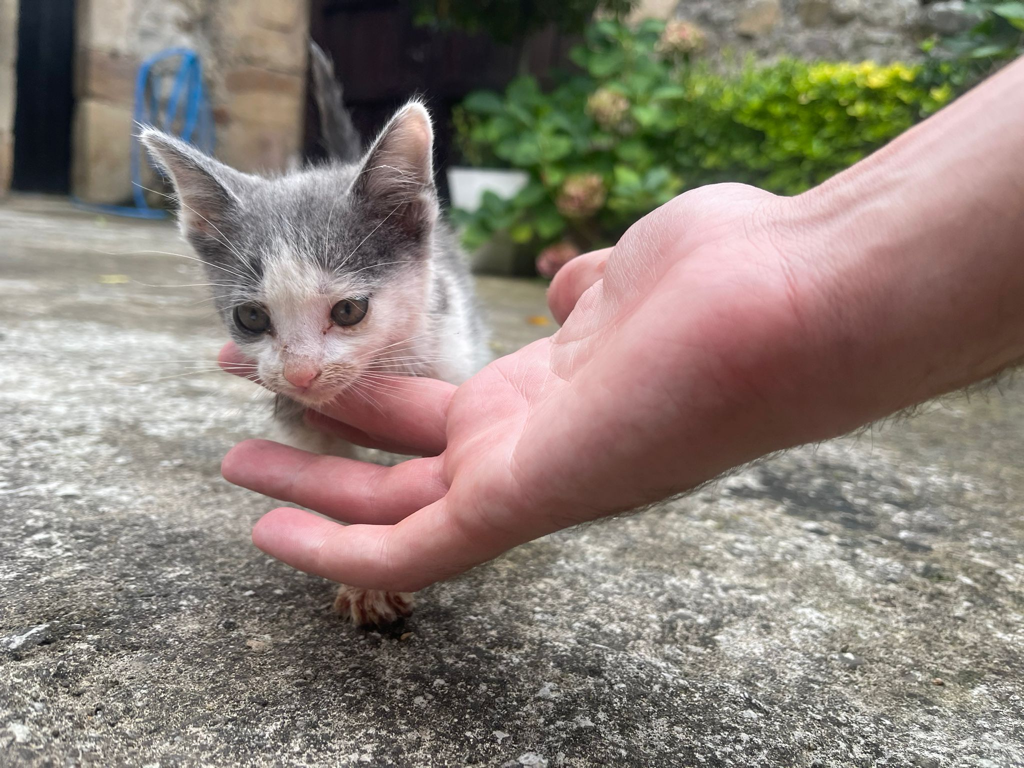 HistoriasQueMaúllan